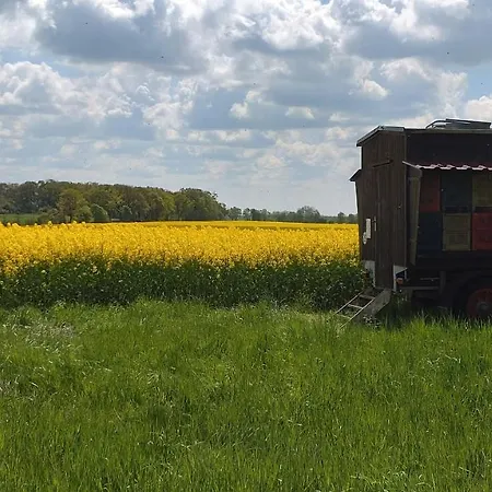アパート Grosszuegige Mit Weitem Ausblick Lichtenberg (Brandenburg)