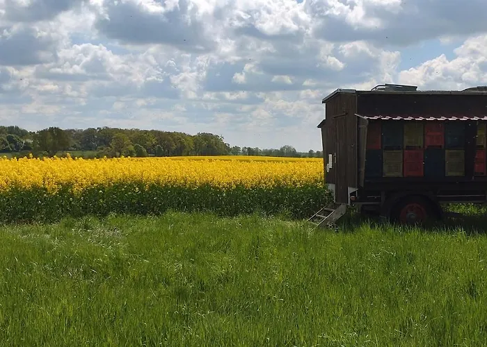 アパート Grosszuegige Mit Weitem Ausblick Lichtenberg (Brandenburg)